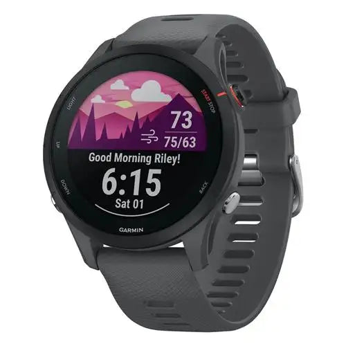 Garmin Forerunner 255 - Slate Grey (010-02641-00)