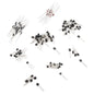 Discrete Semiconductor Kit