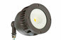 Larson 37 Watt LED Fixture for Architectural Lighting - Aluminum Housing - 120-277V AC - IP67 Waterproof