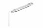 Larson 45 Degree Surface Mount Explosion Proof, Waterproof Fluorescent Lights -Paint Booth, Rigs - 2 Lamp