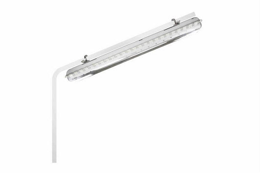 72W Emergency Fluorescent Light - 4' 2 Lamp - Battery Backup - ATEX/IECEx - Steel Pole Mount