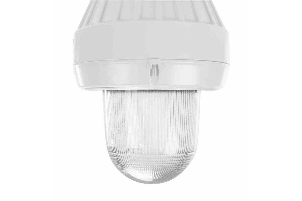 Replacement Globe for Explosion Proof Incandescent Lamps - EPL-CM Series up to 150W