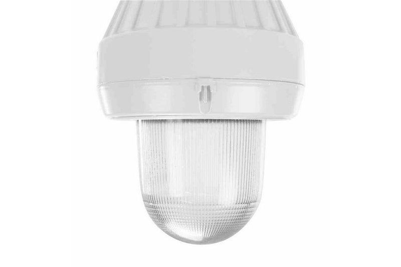 Replacement Globe for Explosion Proof Incandescent Lamps - EPL-CM Series up to 150W