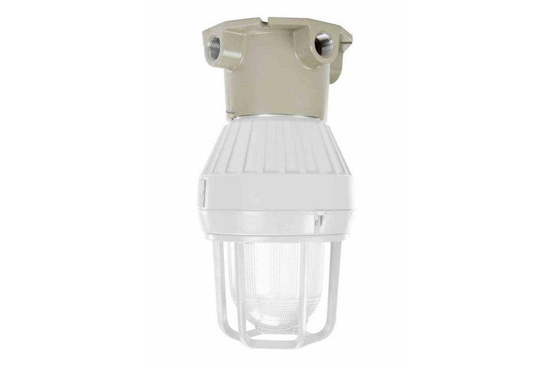Ceiling Mount for the EPL-CM Series Explosion Proof Light Fixtures - 3/4" Hub - Flat Surface Box