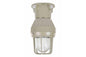 Class I, Div. I, 60 Watt Incandescent Light - Vapor Proof - Fixed Mount - 120 Volts