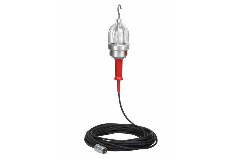 Explosion Proof Drop Light - 12 Volt AC/DC - 100 Watt Incandescent - 100' 12/3 SOOW Cord