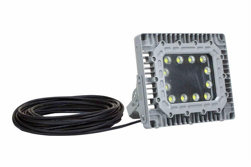 150W Explosion Proof High Bay LED Fixture - C1D1 - Paint Booth Approved- 100' Cord w/ Flying Leads