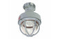 Explosion Proof 10 Watt LED Light - 1050 Lumens - Multiple Colors - C1D1&2 Groups A,B,C,D and C2D1&2
