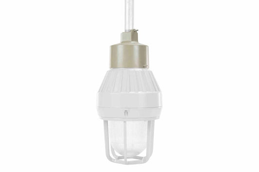Pendant Mount Kit for EPL-HHB-100W-LED Series of LED Explosion Proof Strobe Lights