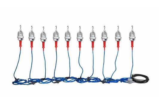 Explosion Proof LED String Lights - 10 Lights - C1D1&2 and C2D1&2 - 75' Input Whip