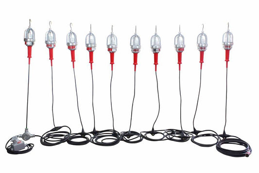 Explosion Proof LED String Lights - 10 lights - Daisy Chain End-2-End Connection - 100ft Stringer