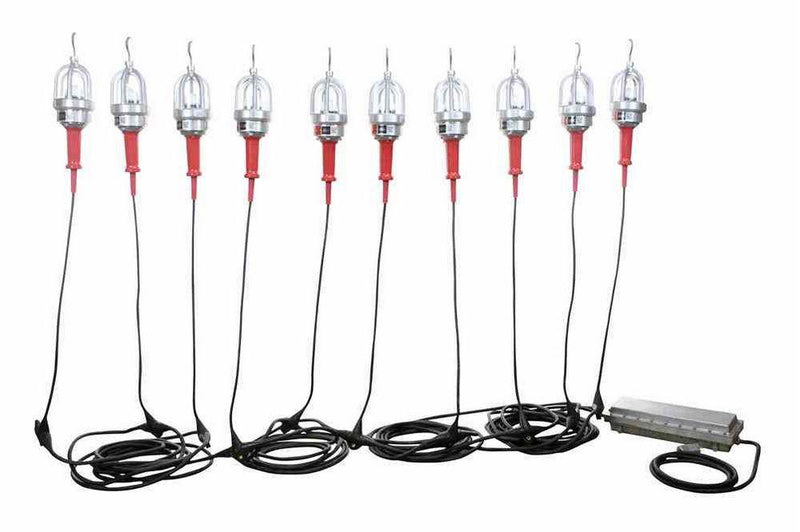 Explosion Proof LED String Lights - 10 lights - 120/277 to 12V DC - Class 1 Div 1 and Class 2 Div 1