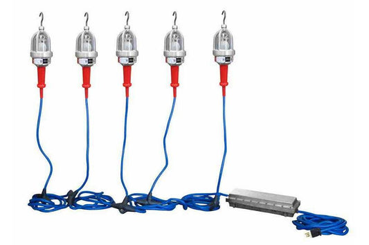 Explosion Proof LED String Lights - 5 lights - 120/277 to 12V DC - C1D1 Inline Transformer