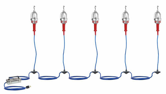 Explosion Proof LED String Lights - 5 lights - 120/277 to 12V DC - Class 1 Division 1 &Class 2 Div 1