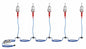 Explosion Proof LED String Lights - 5 lights - 120/277 to 12V DC - Class 1 Division 1 &Class 2 Div 1