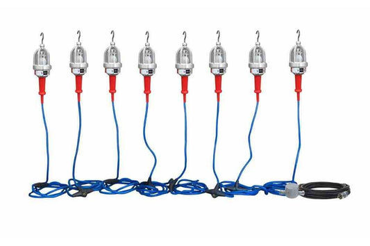 Explosion Proof LED String Lights - 8 Lights - C1D1&2 and C2D1&2 - 60' Input Whip