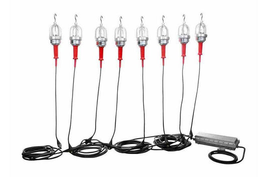 80W Explosion Proof LED String Lights - 8 lights - 120/277 to 12V DC - C1D1 and C2D1 - Inline Step D