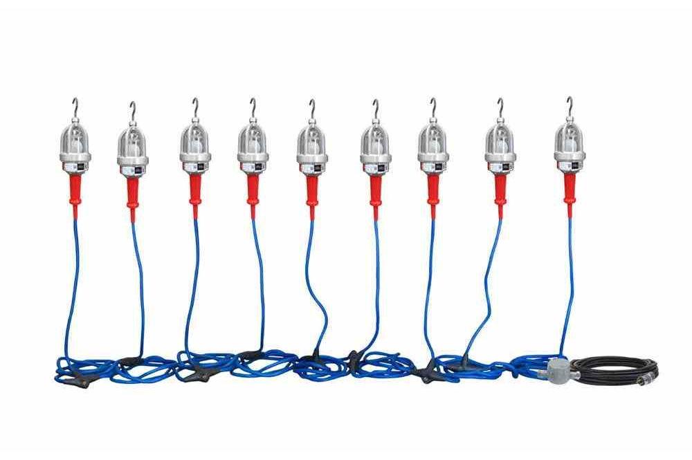 Explosion Proof LED String Lights - 9 Lights - C1D1&2 and C2D1&2 - 60' Input Whip