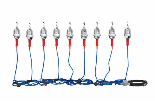 Explosion Proof LED String Lights - 9 Lights - C1D1&2 and C2D1&2 - 60' Input Whip