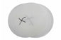 Larson LensGuard Adhesive Film Protector for the EPL-XX-70 series Explosion Proof Lights - 5 Units