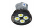 80W Explosion Proof AC LED Fixture - C1D1 - C2D1 - Group B + ATEX/IECEX - IP68 - Ceiling Mount