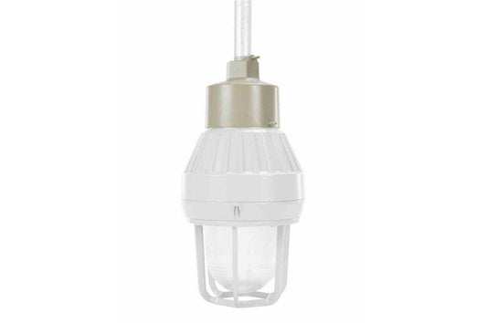 Pendant Mount Kit for EPSL-80-141 Series of LED Explosion Proof Strobe Lights