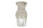 Explosion Proof LED Strobe Light - 12-36 Volts DC - 141 Candela - Class 1 Div 1.