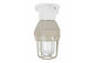 Explosion Proof LED Strobe Light - Body Only - 4Hz Flash Rate - 10W - C1D1- IP67 - NO MOUNT
