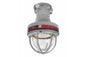Replacement Pendant Light for EXP-EMG-12W-2L-HBMN - Includes Light Head, (2) 90s, Seal Off & Conduit