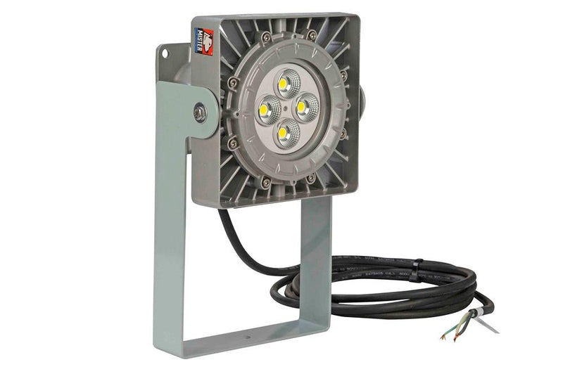 60 Watts Class 1 Division 2 LED Light for Hazardous Location Areas - 6' Cable w/ Flying Leads