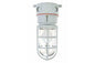 Class 1, Division 2 Chemical Resistant Incandescent Light - 150 Watts - Non-Metallic