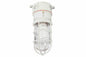 Class 1, Division 2 Non-Metallic Corrosion Resistant Light - 42 Watt Compact Fluorescent