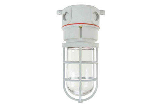 *NO LAMP* C1D2 Groups A,B,C,D Chemical Resistant Light Housing - Non-Metallic - Corrosion Resistant