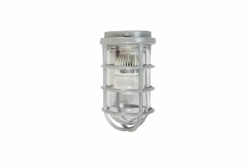 10W Hazardous Location LED Light - C1D2 - 1050 Lumens - Aluminum Body - NEMA 4 - No Mount Included