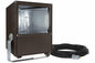 Class I, Div. II 400 Watt Metal Halide Flood Light - 100' SOOW Cord w/ Exp. Plug - Multi-Tap 120-277