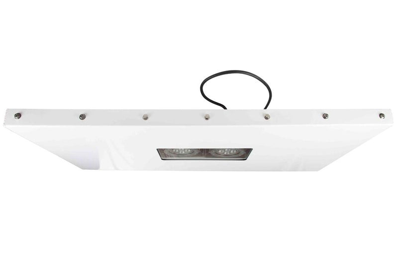 100W Explosion Proof LED Light - 1x4 Lay-In Troffer - C1D1/C2D1 - ISO 14644/FS-209E Rated