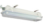 Class I, Division 2 LED Light - 2 foot, 2 lamp - NO LAMPS - Corrosion Resistant Construction