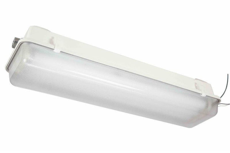 Class 1 Division 2 Fluorescent Light - 2 Foot 3 Lamp - Corrosion Resistant Requirements