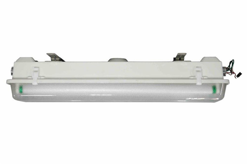 Class I Division 2 Emergency LED Light - 2' 2 Lamp