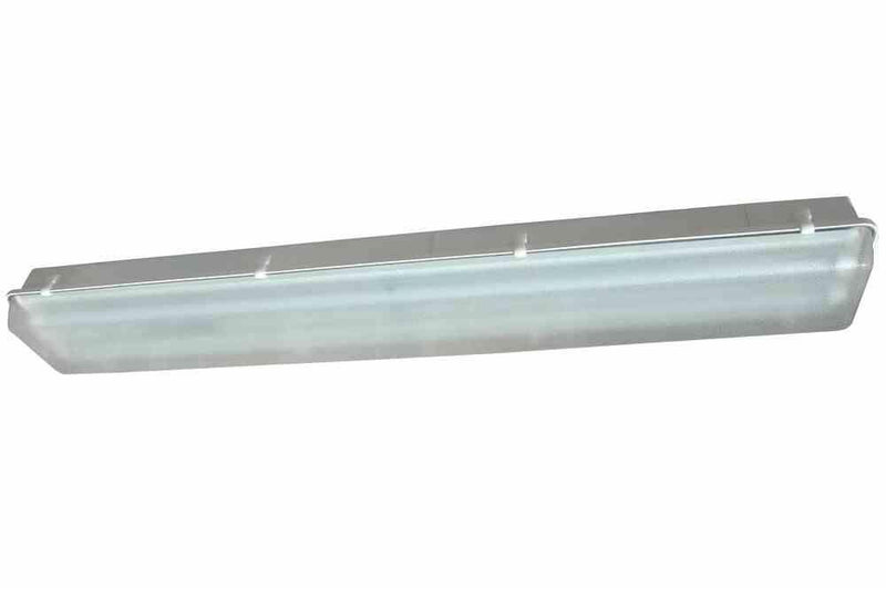 Class 1 Division 2 Emergency ONLY Fluorescent Light - 4' 2 Lamp Emergency Fixture