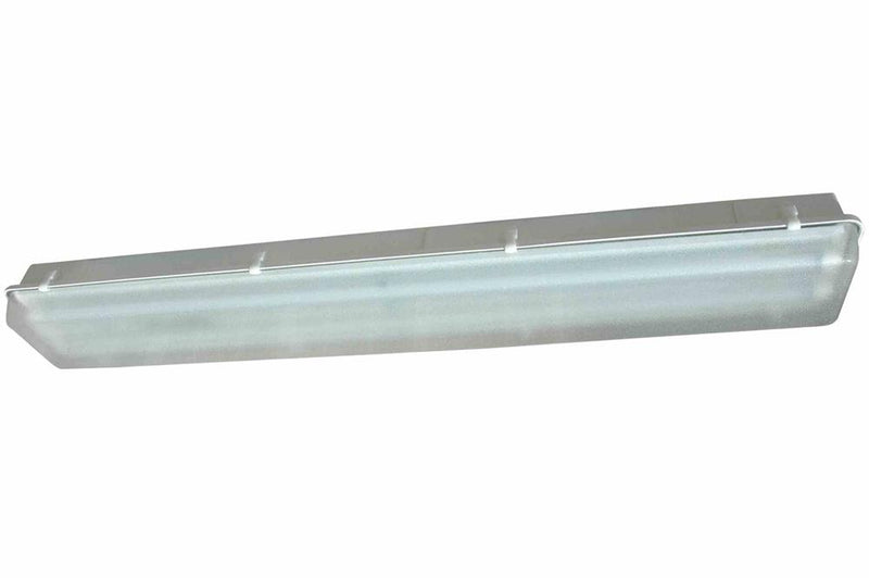Class 1 Division 2 Emergency Fluorescent Light - 4' 2 lamp - EMERGENCY ONLY