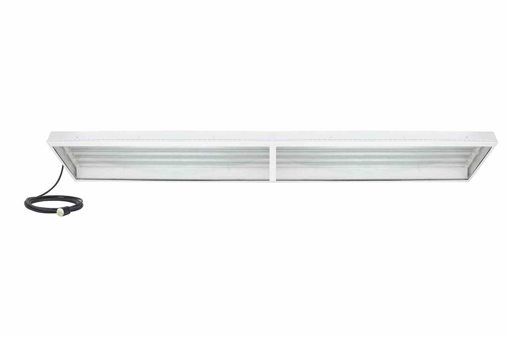 224W Hazardous Area LED Light -C1D2/C2D2 Groups F,G - (8) 4' LED Lamps - 6' 16/3 SOOW Cord, Cord Cap
