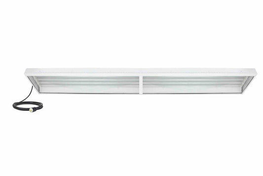 224W Hazardous Area LED Light -C1D2/C2D2 Groups F,G - (8) 4' LED Lamps - 6' 16/3 SOOW Cord, Cord Cap