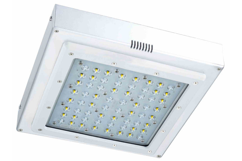 Larson 204 Watt Low Profile LED Canopy Light - Replaces 250 Watt Metal Halide Fixtures - 120-277V AC - IP65