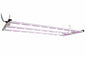 Larson 120W COB LED Grow Light - 120V AC - Dimmable - 3 Bands - Optimized for Photosynthesis