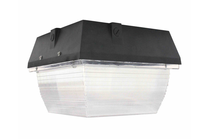 Larson 25 Watt LED Canopy Light  Day/Night Photocell  100 Watt Metal Halide Equivalent - IP65 Rated