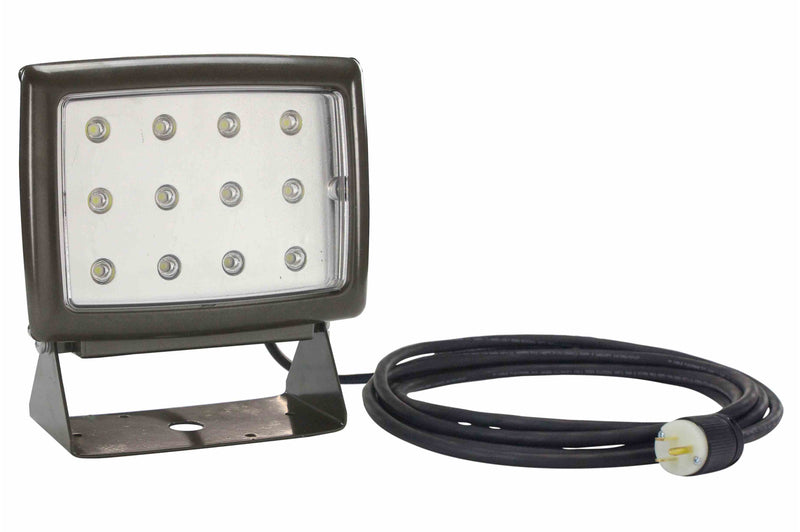 Larson 25 Watt Low Profile LED Wall Pack Light - 5000K - Wide Flood Beam - 10' Cord - U-Bracket Mount - DLC