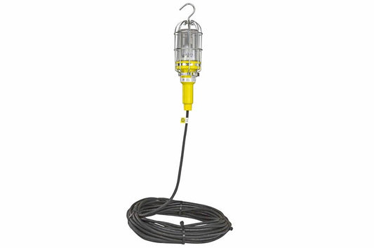 10 Watt Vapor Proof (Waterproof) LED Drop Light w/ Lexan Globe - 100' Cord - Stainless Steel Guard