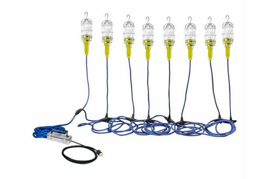 Industrial Vapor Proof Incandescent String Light - 5 Drop Lights - Inline Stepdown Transformer