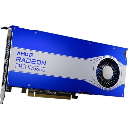 Advanced Micro Devi AMD Radeon Pro W6600 Graphic Card - 8 GB GDDR6 - Full-height - 128 bit Bus Width - PCI Express 4.0 x16 - DisplayPort